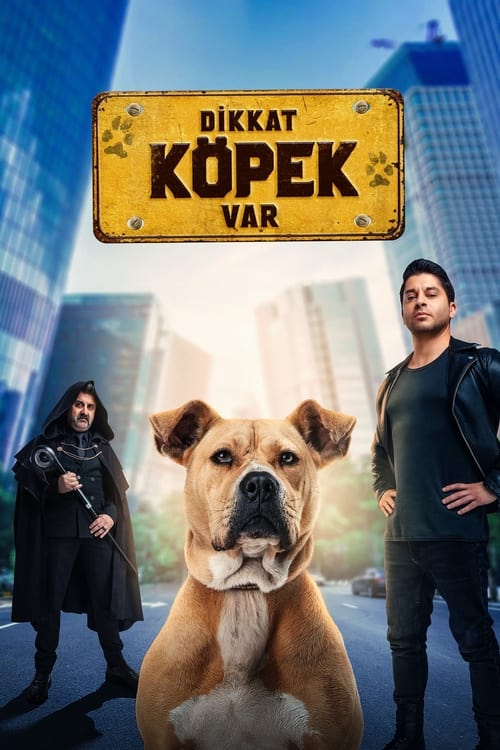 Dikkat Köpek Var ( Turner & Hooch )