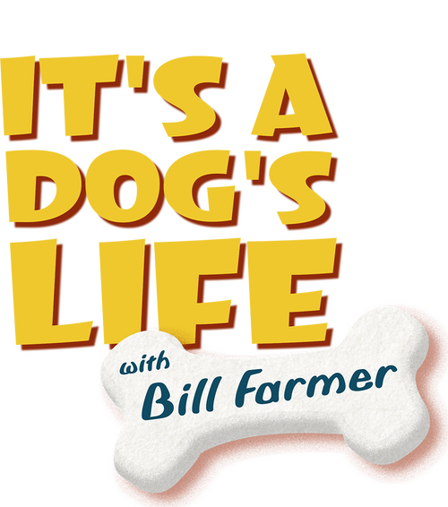 It's a Dog's Life with Bill Farmer