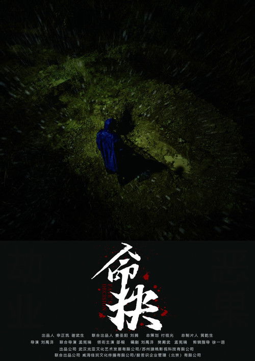 命抉 poster