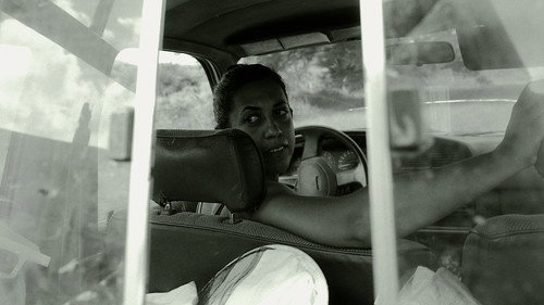 The Bee - A Reflection on Women, Land, and Occupation