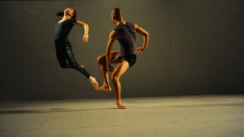 The Art of Ohad Naharin - Volume 2 (Sadh21)