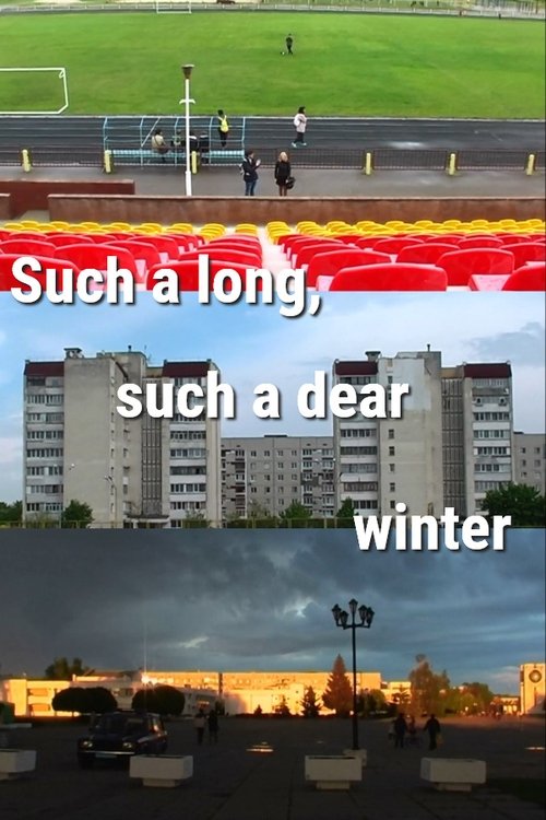 Such a Long, Such a Dear Winter poster
