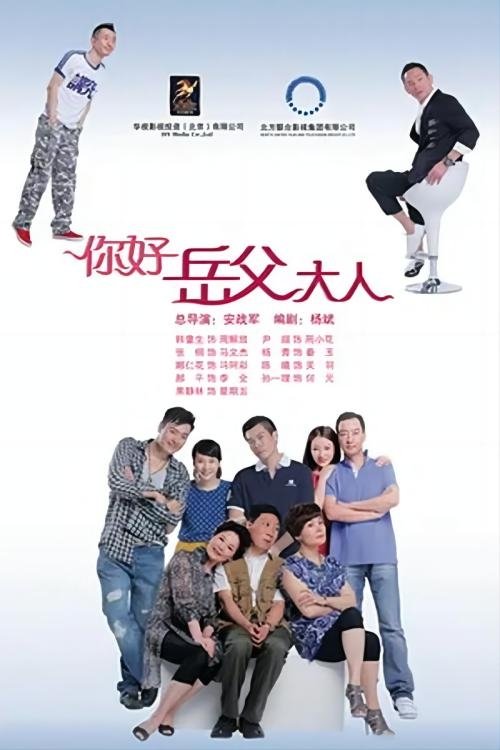 家事也是事 (2013)