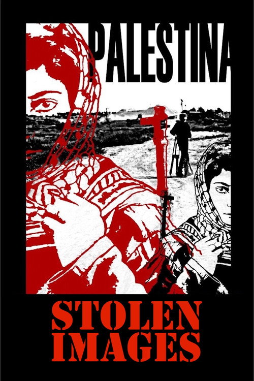 Palestine: Stolen Images still 2