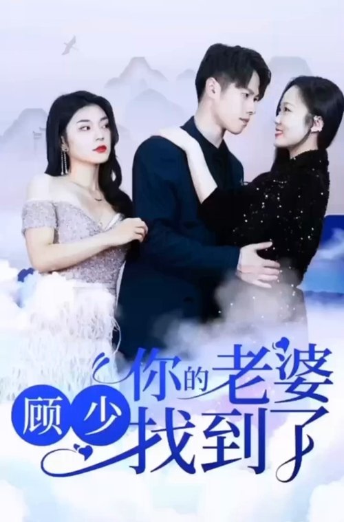 顾少,你的老婆找到了