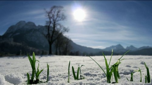 Les Préalpes bavaroises