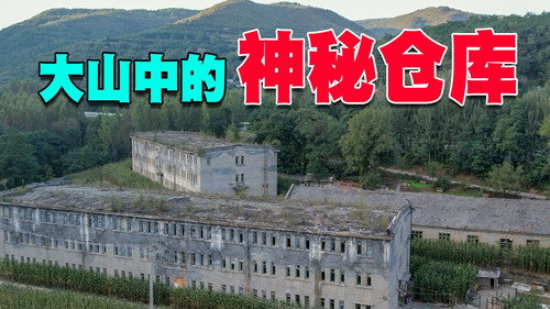 Episode 216
