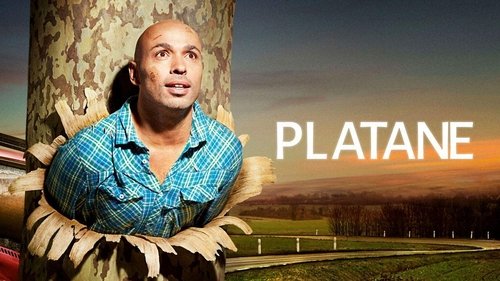 Imagen 2 del estreno de Platane