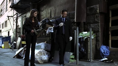 Poster della serie CSI: NY