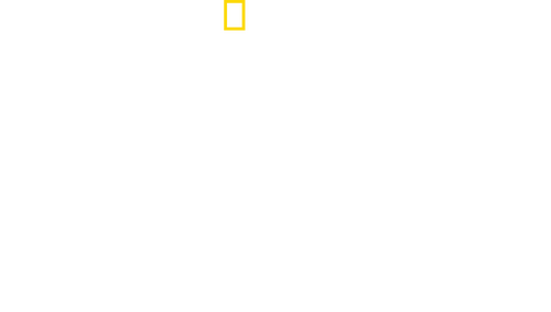Night Stalkers logo