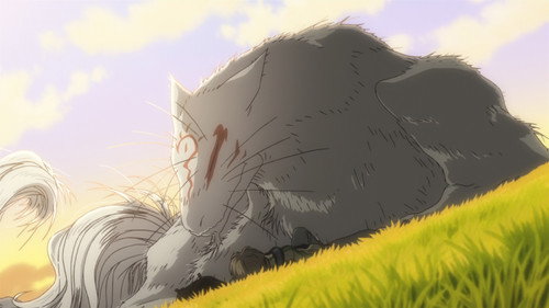 Le long retour à la maison