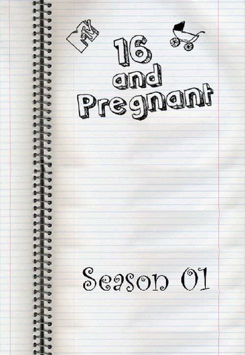 Where to stream 16 and Pregnant Season 1