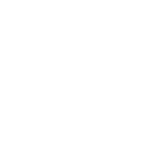 Teen Beach Movie