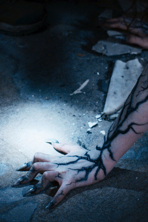 Affiche de La Loi de la chair