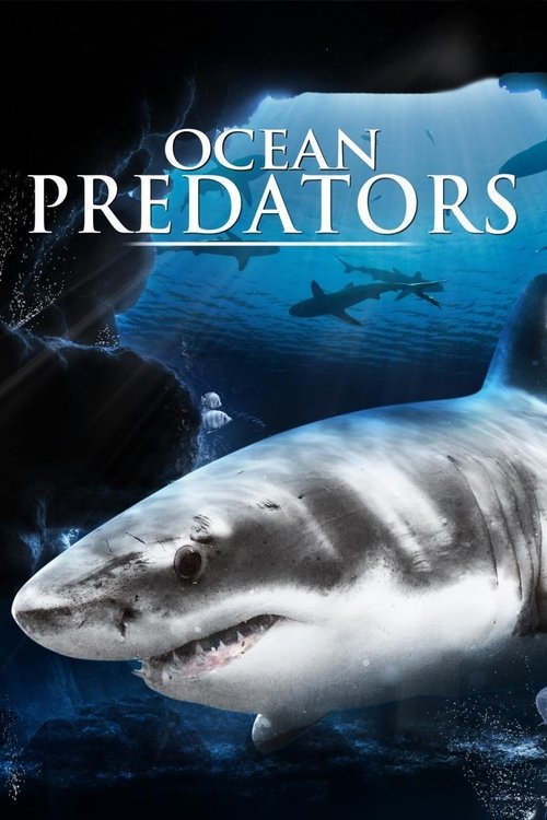 Ocean Predators movie poster player
