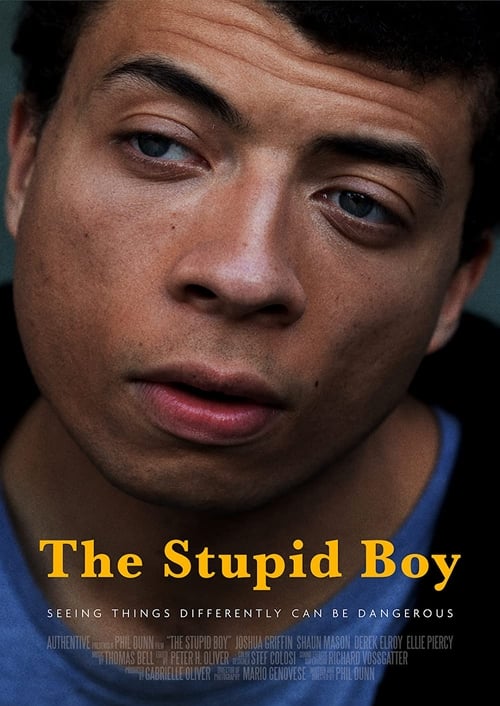 The Stupid Boy (2023) poster