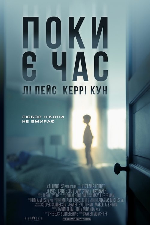 Поки є час / The Keeping Hours (2017) TMDB poster
