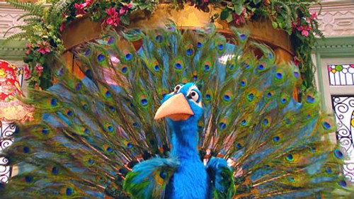 The Fabulous Feathers