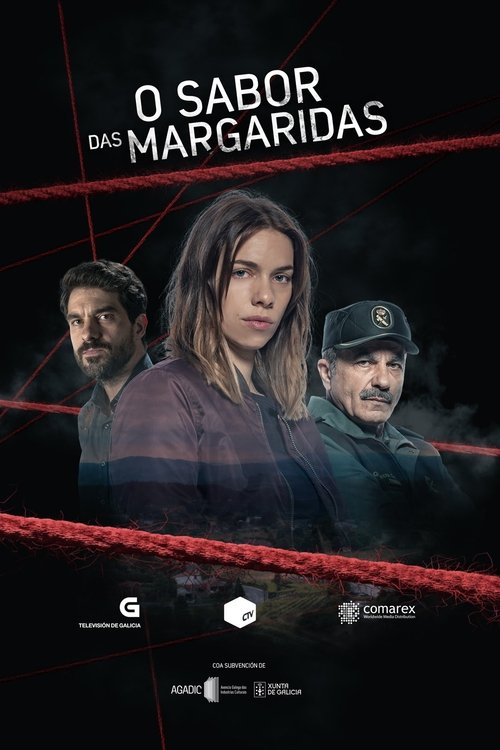 O sabor das margaridas