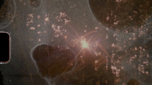 Resistance Meditation Backdrop Blur