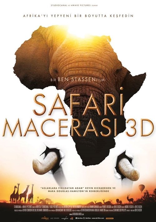 African Safari
