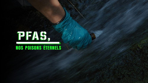 PFAS: An Everyday Poison — still 7