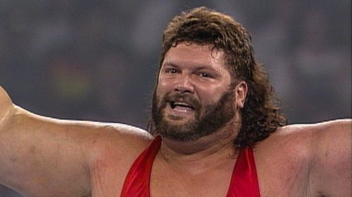 Poster della serie WWF Superstars