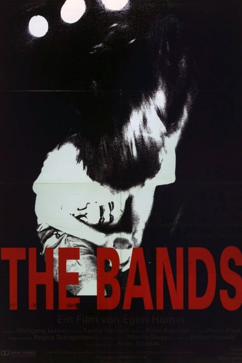 The Bands Movie Poster Image