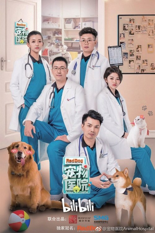 Animal Hospital (2019)