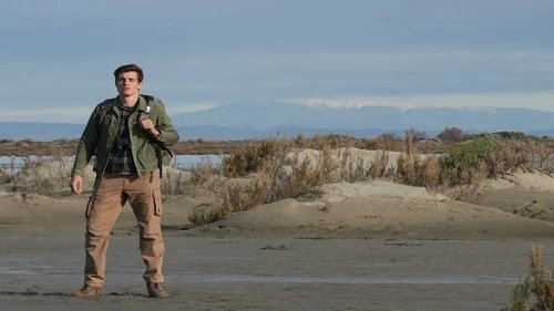 Un safari en Camargue