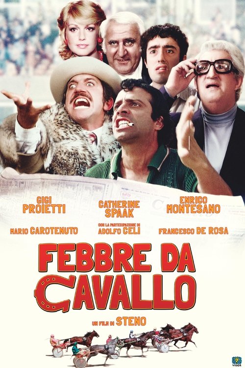 Febbre da cavallo poster