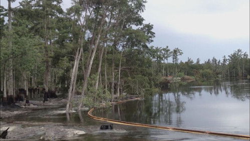 Poster della serie Paranormal TV