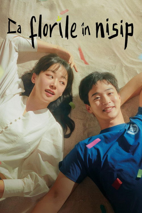 모래에도 꽃이 핀다