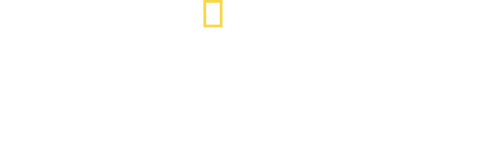 Secret Life of Predators
