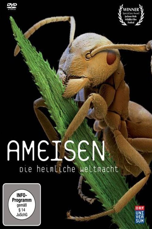 Ameisen - Die heimliche Weltmacht movie poster player