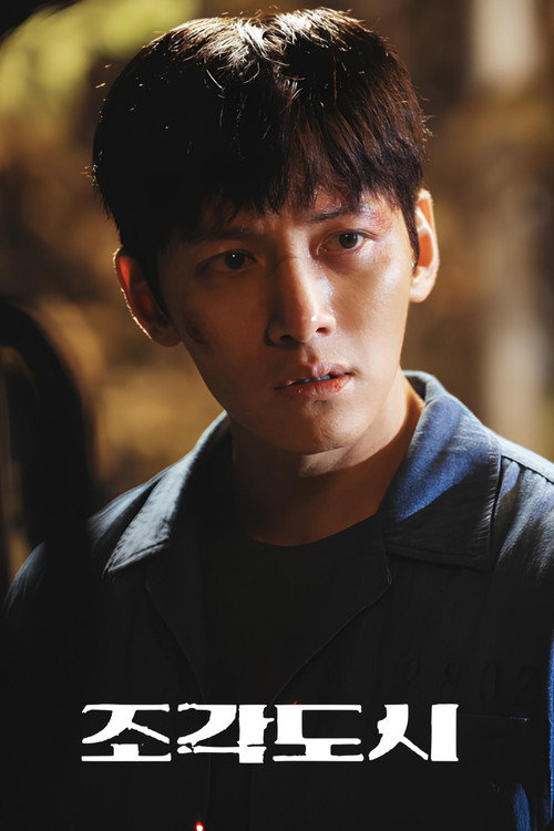 Poster (Koreanisch)