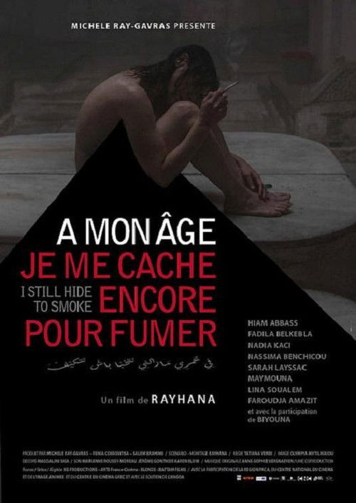 I Still Hide to Smoke poster