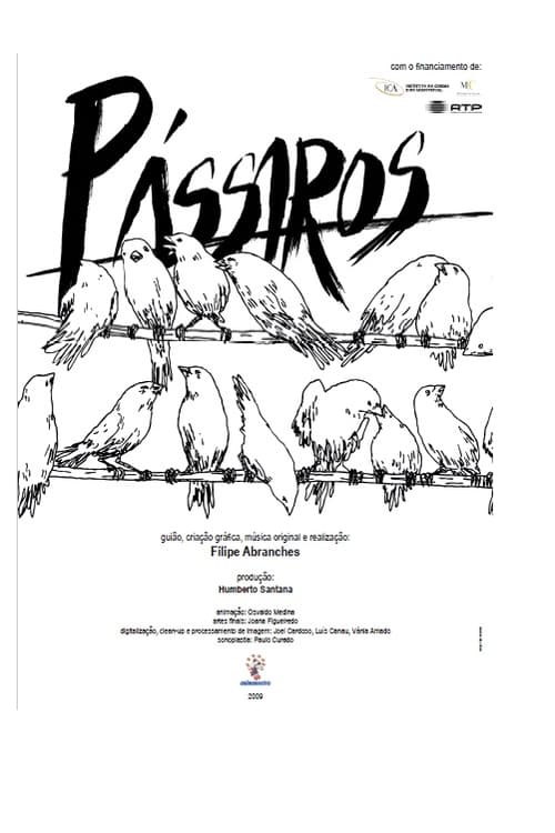 Pássaros poster