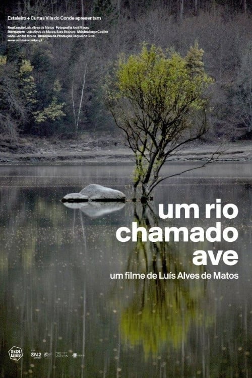 Um Rio Chamado Ave Movie Poster Image