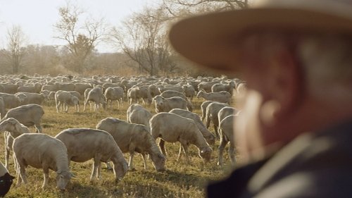 Wild & Wool image 2