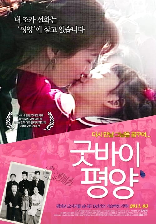 Poster 굿바이, 평양 2010