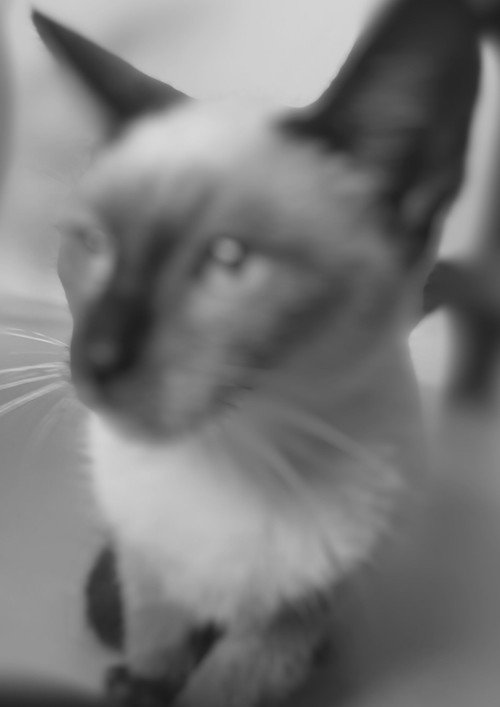 Poster for When you sleep