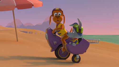 Go Dog Go: A Ball for All