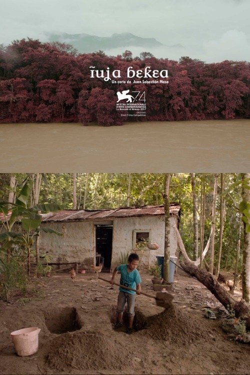 Tierra mojada movie poster player