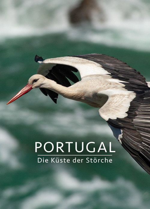 Portugal - Die Küste der Störche