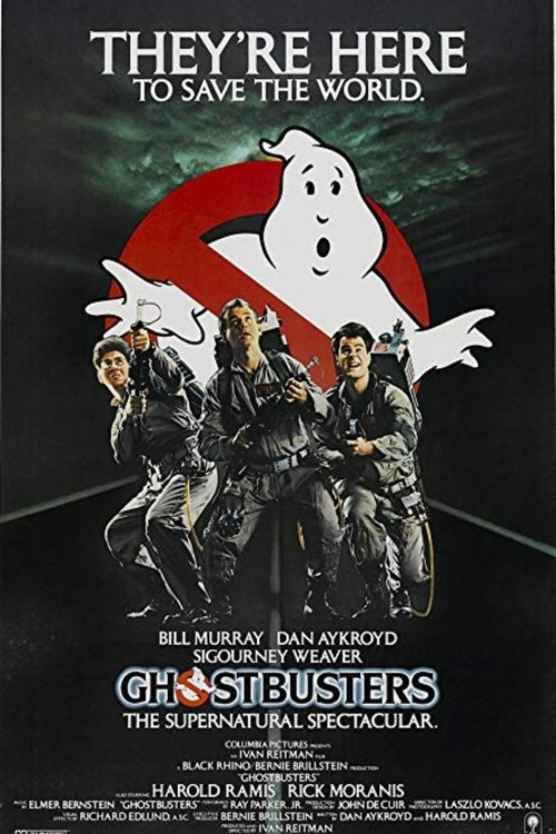 Ecto-1: Resurrecting the Classic Car movie poster player