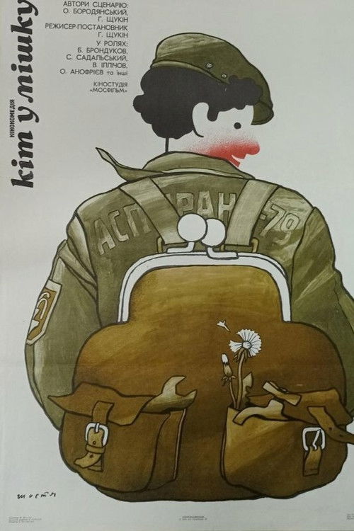 The Cat in the Bag poster