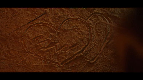 Poster della serie Light the Night