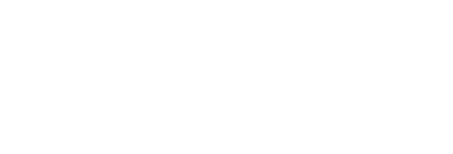 Notre-Dame: Race Against the Inferno