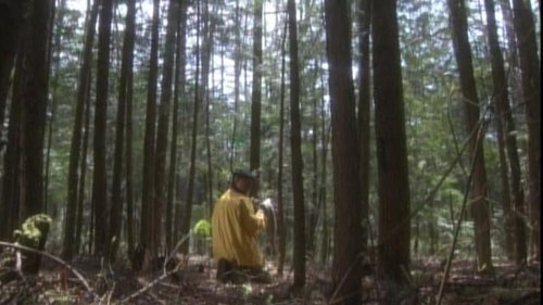 Image de l'épisode 5